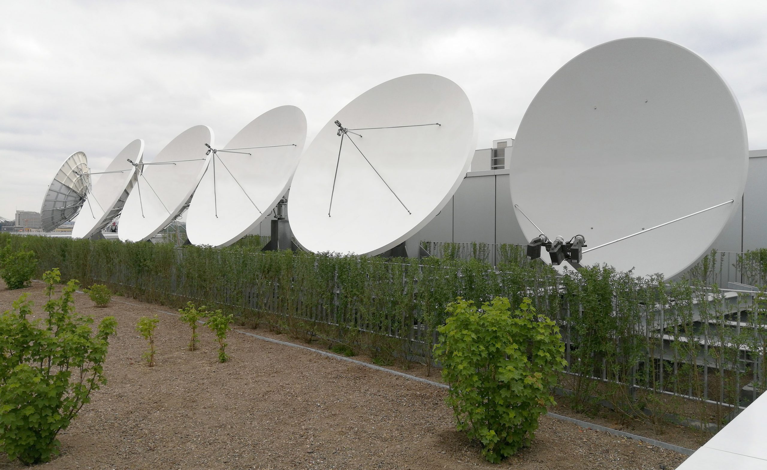 Multi satellite dish hotsell