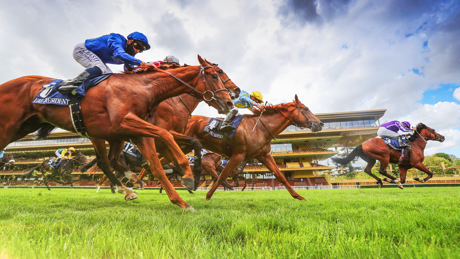 Equidia, the international horse racing channel, moves to cloud