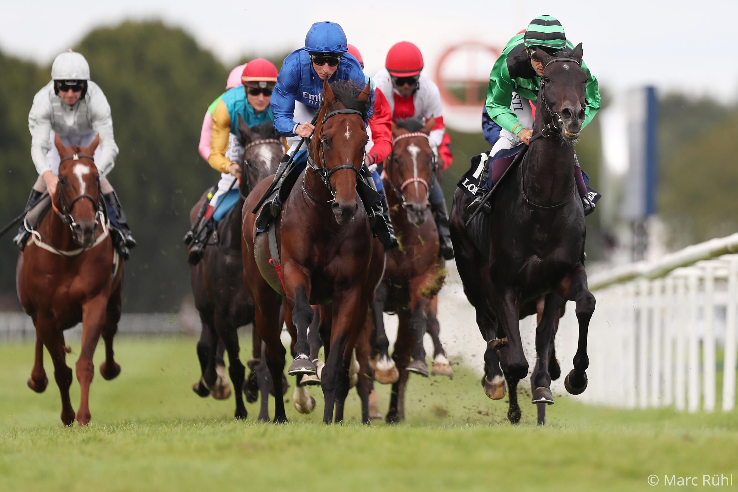 Riedel Partners With German Racing and German Tote to Develop
